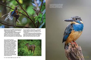 Asias Greatest Wildlife Sanctuaries - Fanny Lai [KSIĄŻKA]
