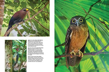Asias Greatest Wildlife Sanctuaries - Fanny Lai [KSIĄŻKA]