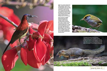 Asias Greatest Wildlife Sanctuaries - Fanny Lai [KSIĄŻKA]