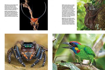 Asias Greatest Wildlife Sanctuaries - Fanny Lai [KSIĄŻKA]