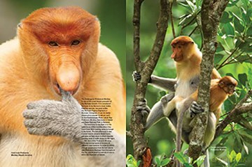 Asias Greatest Wildlife Sanctuaries - Fanny Lai [KSIĄŻKA]