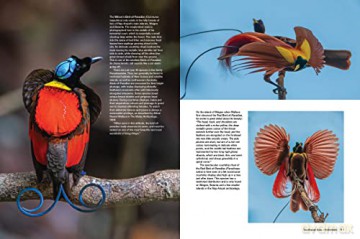 Asias Greatest Wildlife Sanctuaries - Fanny Lai [KSIĄŻKA]
