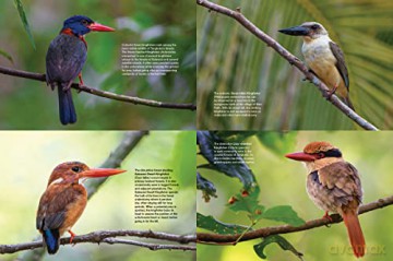 Asias Greatest Wildlife Sanctuaries - Fanny Lai [KSIĄŻKA]