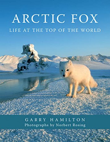 Arctic Fox - Garry Hamilton [KSIĄŻKA]