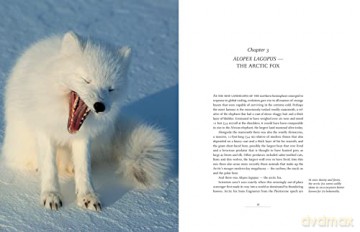 Arctic Fox - Garry Hamilton [KSIĄŻKA]
