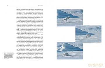 Arctic Fox - Garry Hamilton [KSIĄŻKA]