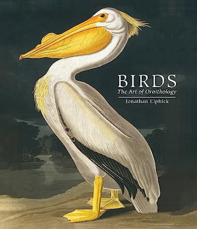 Birds - Jonathan Elphick [KSIĄŻKA]