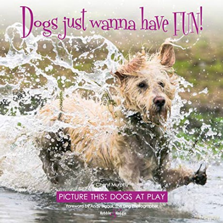 Dogs Just Wanna Have Fun - Cheryl Murphy [KSIĄŻKA]