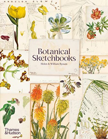 Botanical Sketchbooks - Helen Bynum [KSIĄŻKA]
