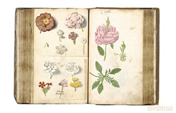 Botanical Sketchbooks - Helen Bynum [KSIĄŻKA]