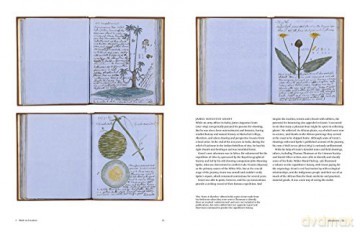Botanical Sketchbooks - Helen Bynum [KSIĄŻKA]