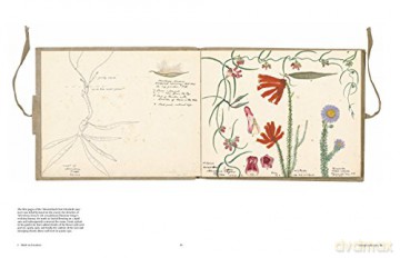 Botanical Sketchbooks - Helen Bynum [KSIĄŻKA]