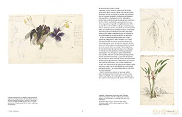Botanical Sketchbooks - Helen Bynum [KSIĄŻKA]