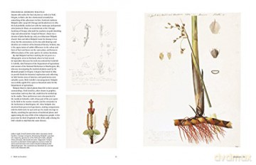 Botanical Sketchbooks - Helen Bynum [KSIĄŻKA]