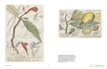 Botanical Sketchbooks - Helen Bynum [KSIĄŻKA]