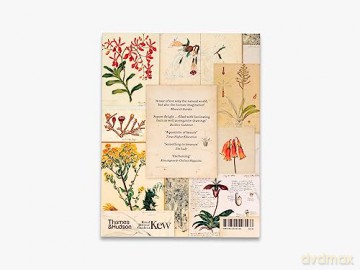 Botanical Sketchbooks - Helen Bynum [KSIĄŻKA]