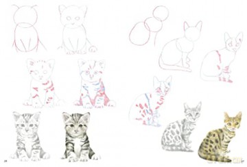 How To Draw Kittens - Susie Hodge [KSIĄŻKA]