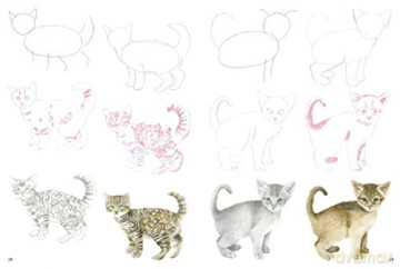 How To Draw Kittens - Susie Hodge [KSIĄŻKA]