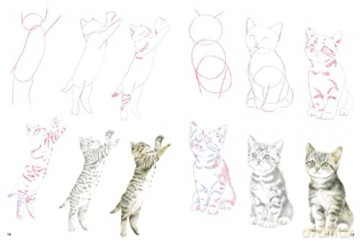 How To Draw Kittens - Susie Hodge [KSIĄŻKA]