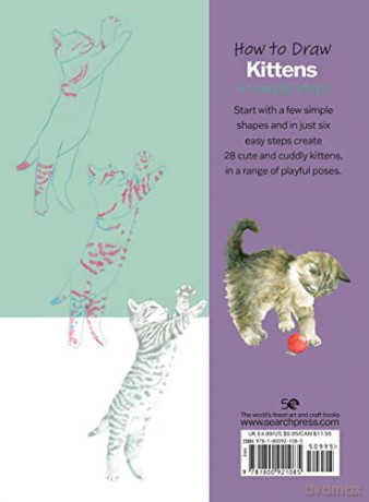 How To Draw Kittens - Susie Hodge [KSIĄŻKA]
