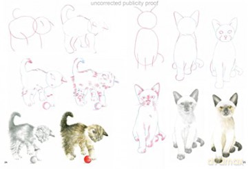 How To Draw Kittens - Susie Hodge [KSIĄŻKA]