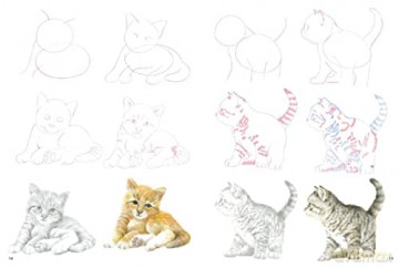 How To Draw Kittens - Susie Hodge [KSIĄŻKA]
