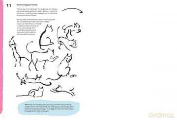 Animal Art - Lorna Scobie [KSIĄŻKA]
