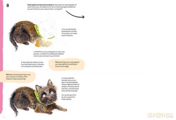 Animal Art - Lorna Scobie [KSIĄŻKA]