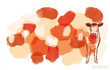 Animal Art - Lorna Scobie [KSIĄŻKA]
