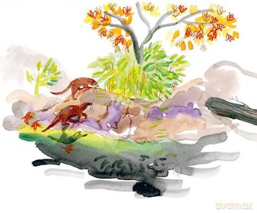 Animal Art - Lorna Scobie [KSIĄŻKA]