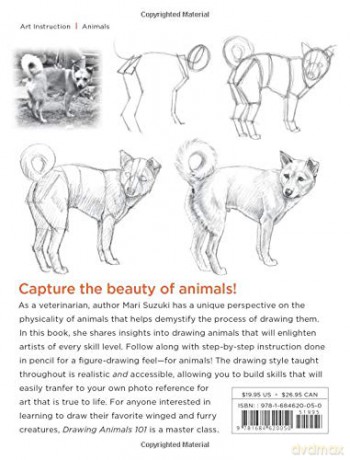 Drawing Animals 101 - Mari Suzuki [KSIĄŻKA]