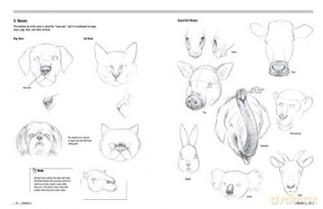 Drawing Animals 101 - Mari Suzuki [KSIĄŻKA]