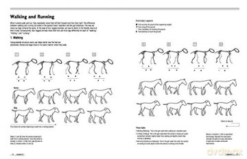 Drawing Animals 101 - Mari Suzuki [KSIĄŻKA]
