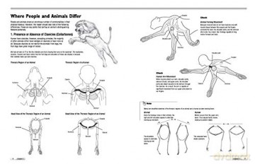 Drawing Animals 101 - Mari Suzuki [KSIĄŻKA]
