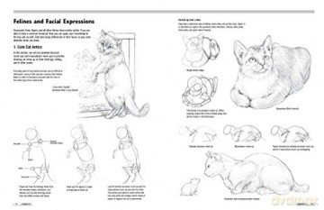 Drawing Animals 101 - Mari Suzuki [KSIĄŻKA]