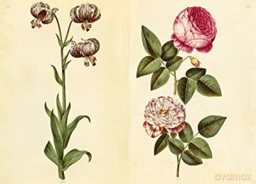 Green Florilegium - Hanne K Poulsen [KSIĄŻKA]