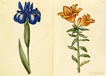 Green Florilegium - Hanne K Poulsen [KSIĄŻKA]