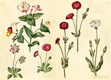 Green Florilegium - Hanne K Poulsen [KSIĄŻKA]