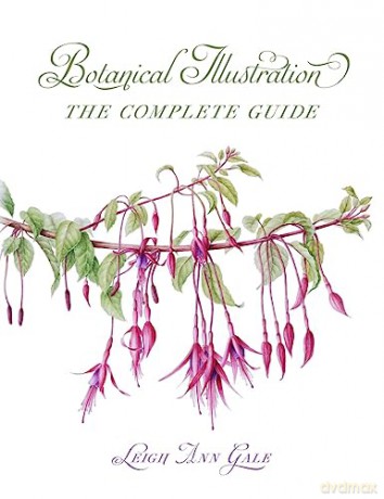 Botanical Illustration - Leigh Ann Gale [KSIĄŻKA]