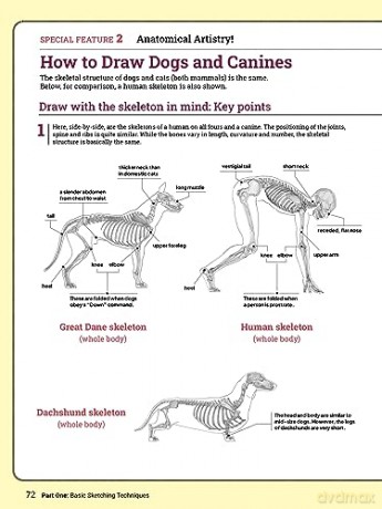 How To Draw Animals - Sadao Naito [KSIĄŻKA]