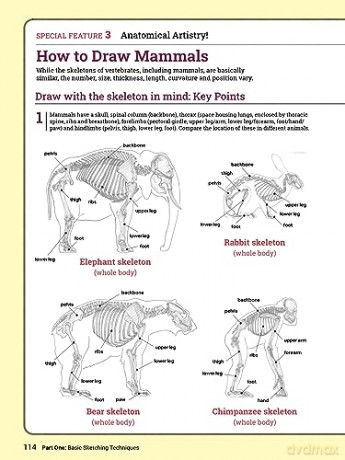How To Draw Animals - Sadao Naito [KSIĄŻKA]