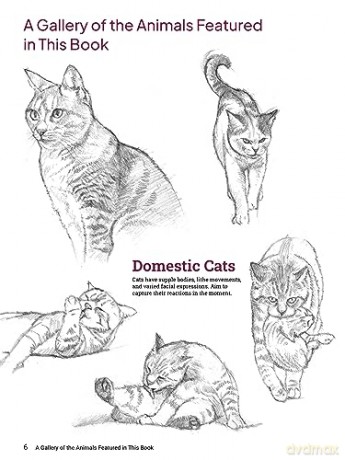 How To Draw Animals - Sadao Naito [KSIĄŻKA]