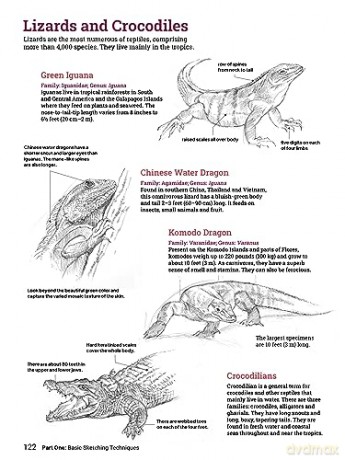 How To Draw Animals - Sadao Naito [KSIĄŻKA]