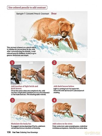 How To Draw Animals - Sadao Naito [KSIĄŻKA]
