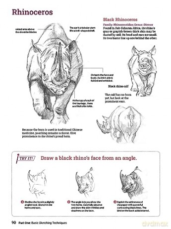 How To Draw Animals - Sadao Naito [KSIĄŻKA]