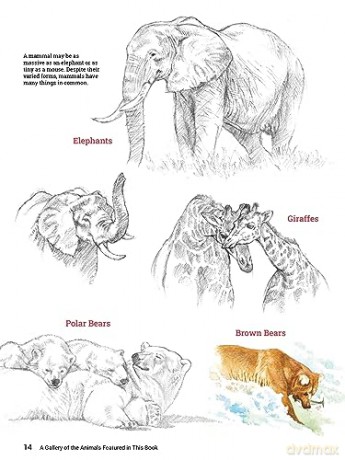 How To Draw Animals - Sadao Naito [KSIĄŻKA]
