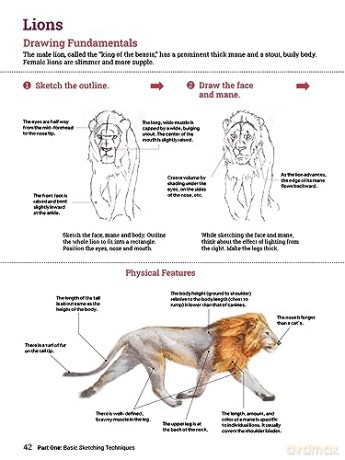 How To Draw Animals - Sadao Naito [KSIĄŻKA]