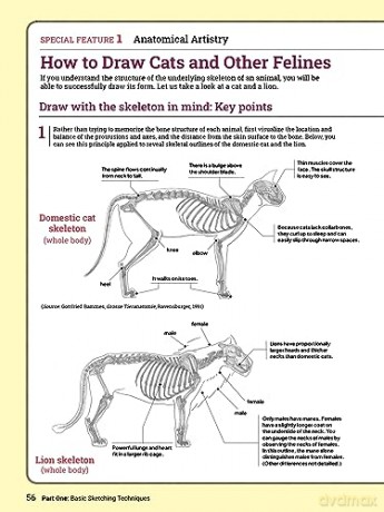 How To Draw Animals - Sadao Naito [KSIĄŻKA]