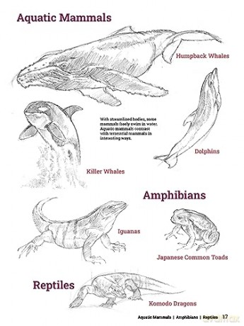 How To Draw Animals - Sadao Naito [KSIĄŻKA]