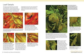Drawing The Joy Of Nature With Colored P - Lee Hammond [KSIĄŻKA]